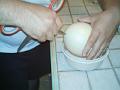 2004-08 Autruches 041